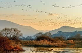화포천습지생태공원
